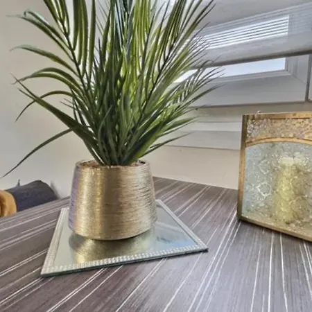 Appartement La Plume - Hypercentre - Place Plumereau